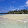 Island with palm trees, Maledives