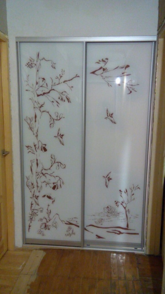 Раздвижные двери для гардеробной с рисунком